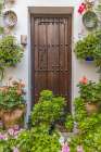 Centro District, Cordoba, Andalusia, Spain. Courtyard garden of a home Art Print